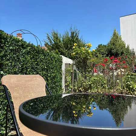 Apartment Center Velor Ac, Smart Tv, Garden Cluj-Napoca